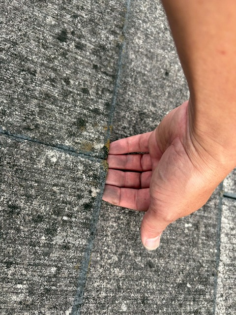 カラーベストの隙間を発見