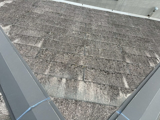 屋根点検もご相談ください！