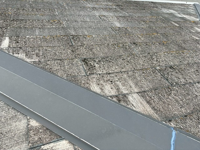 屋根点検も弊社におまかせ