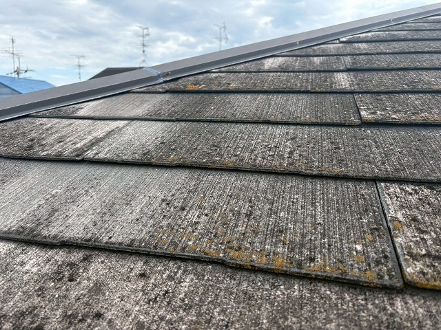 屋根メンテナンスもご相談ください