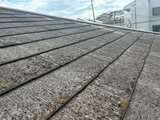 コロニアルが使用された屋根