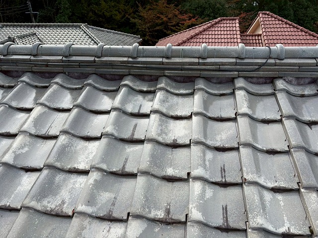 屋根点検もご相談ください！