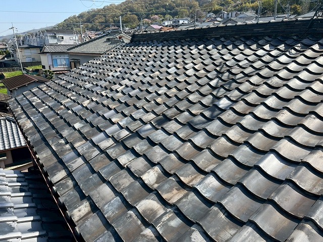 瓦の調査もおまかせ！