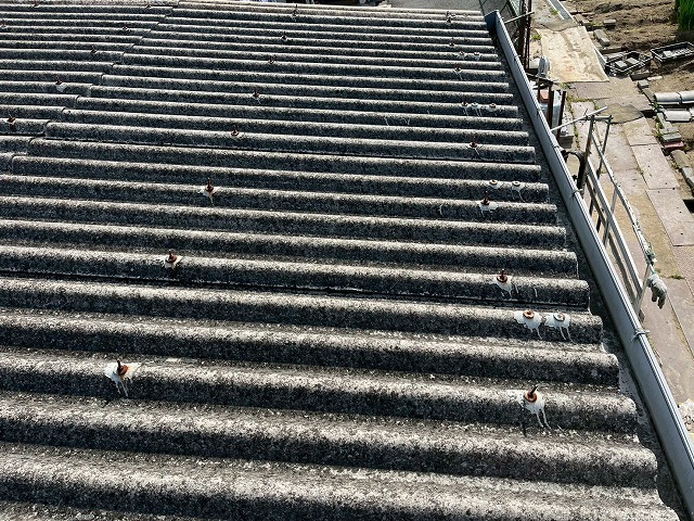 経年劣化の目立つ波型スレート