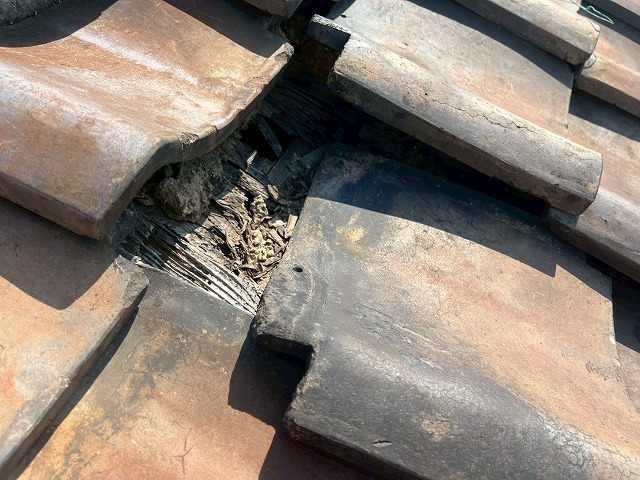 雨漏り修理の相談も承ってます