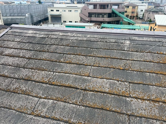 塗膜の剥がれが見受けられる屋根