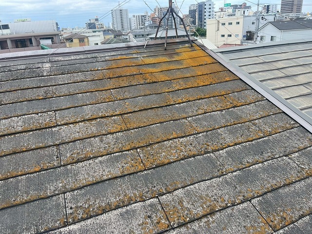 屋根点検もご相談ください