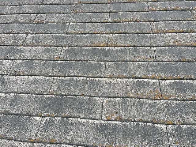 カラーベスト調査