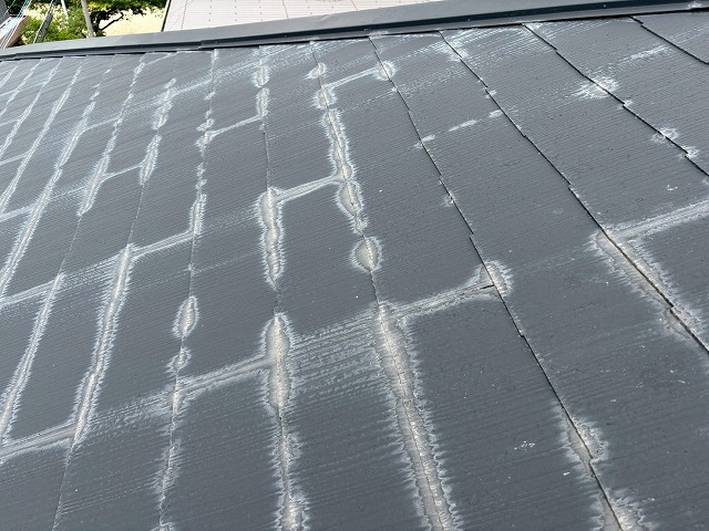 現地調査を実施したカラーベスト