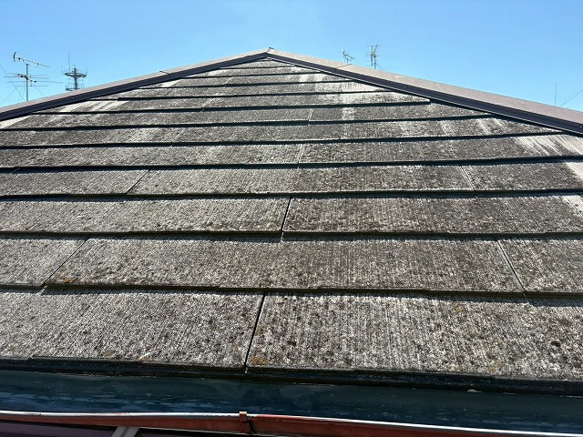 屋根の状態確認を実施