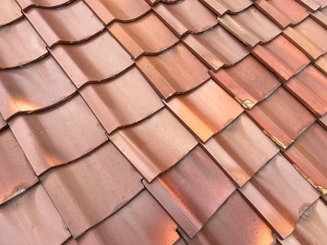 瓦のズレも発生