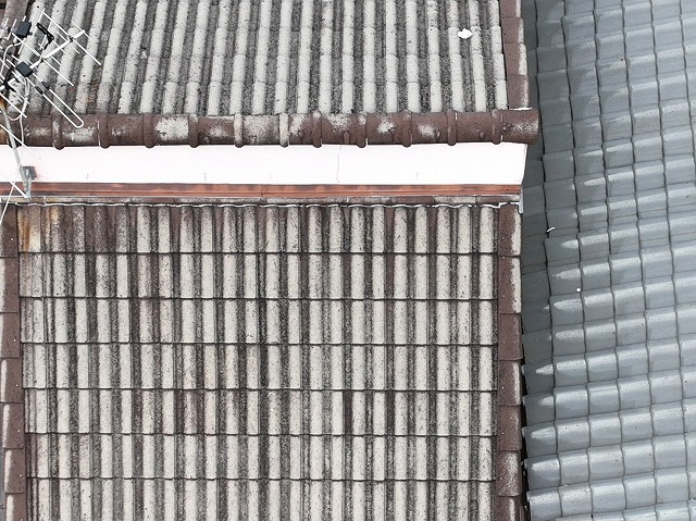 モニエル瓦の状態確認