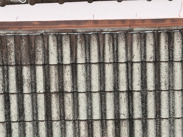 雨漏り調査もご相談ください