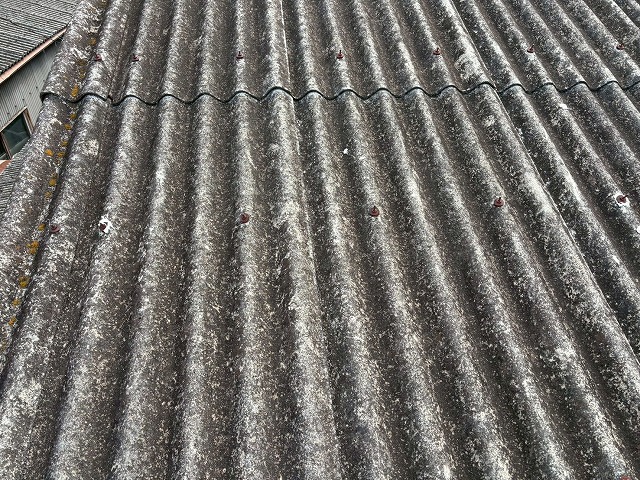 屋根カバー工法をご提案いただいた屋根