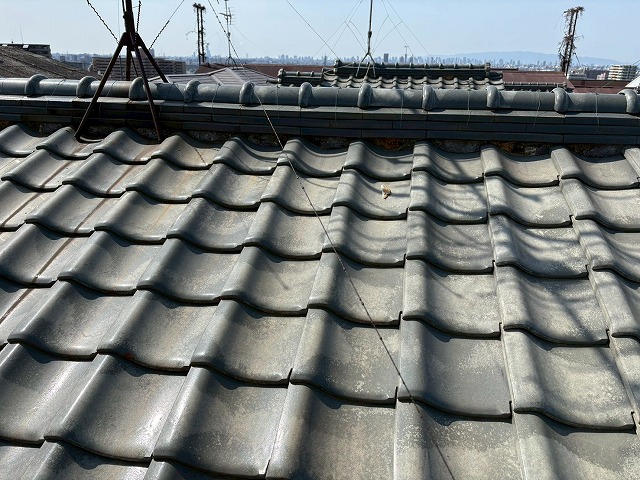 屋根の状況確認