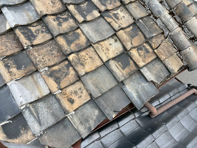 部分補修は不可