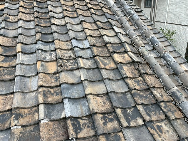 屋根点検もご相談ください