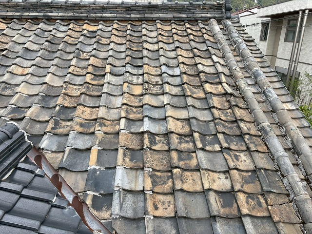 屋根点検も弊社におまかせ