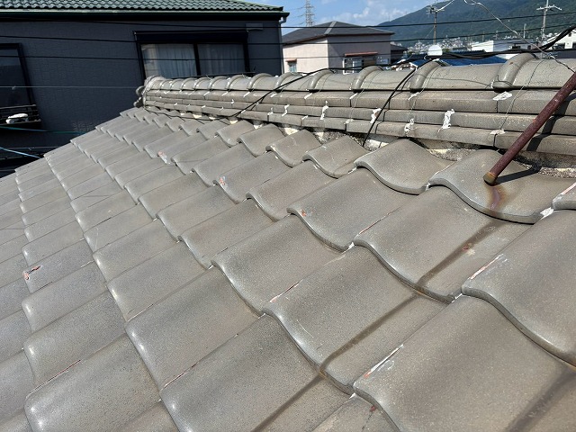 雨漏り調査もおまかせ