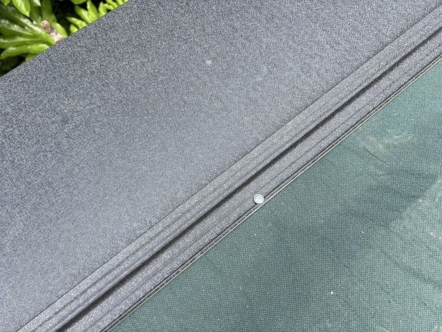 シルキーの写真