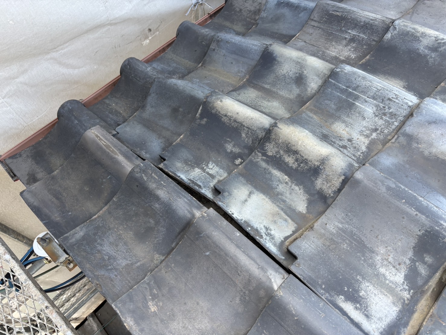 瓦の浮きとズレを確認