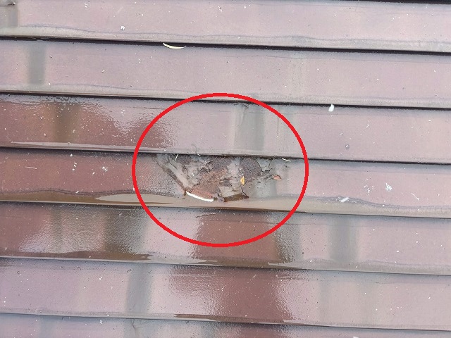 大崎市の金属屋根の表面が剥がれてしまい、トタンが剥き出しになっている状態