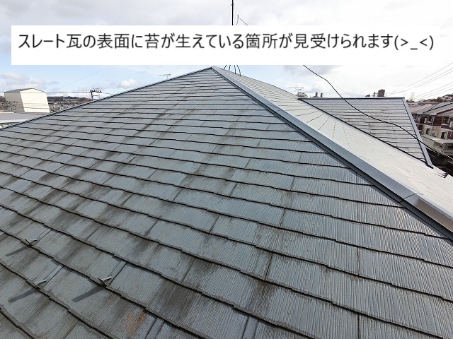 スレート瓦の表面に苔が生えている