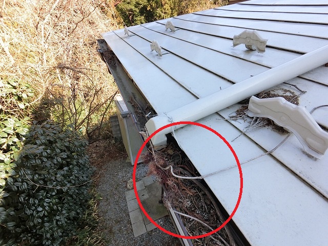 仙台市太白区　はいとい水下エルボが邪魔をして葉っぱが詰まっている様子