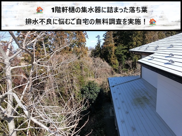 仙台市太白区　1階軒樋の集水器に詰まった落葉排水不良に悩むご自宅の無料調査を実施