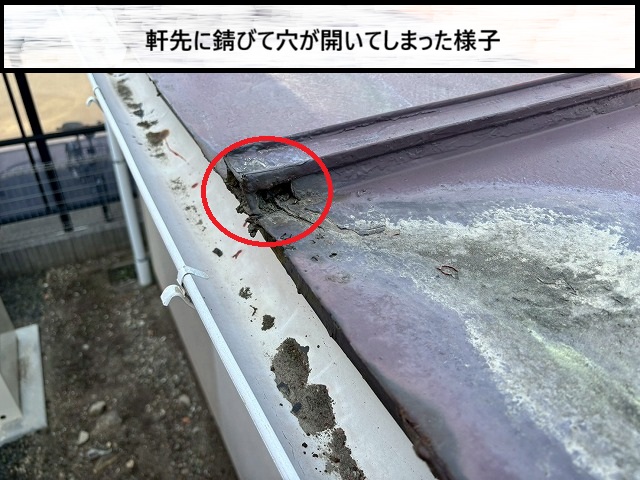 仙台市若林区　金属瓦棒屋根の軒先に穴が開いている様子