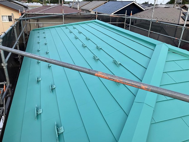 ニスクカラー　ブラックパール