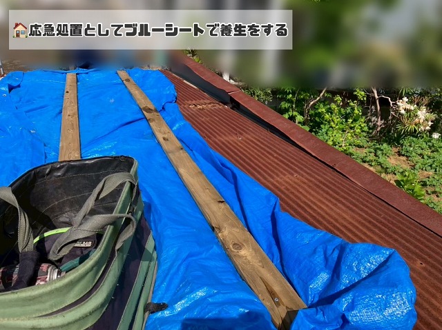 応急処置として養生