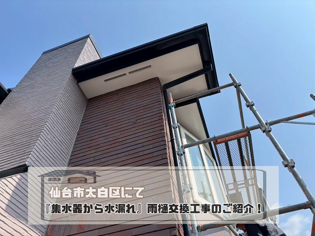 雨樋交換工事