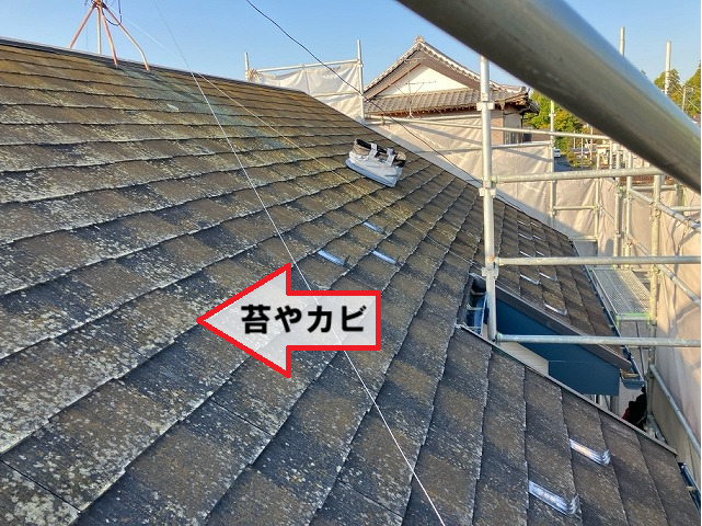 スレート屋根 苔やカビ