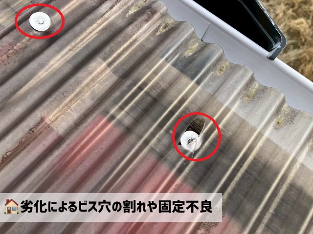  岩沼市-ポリカ波板交換工事