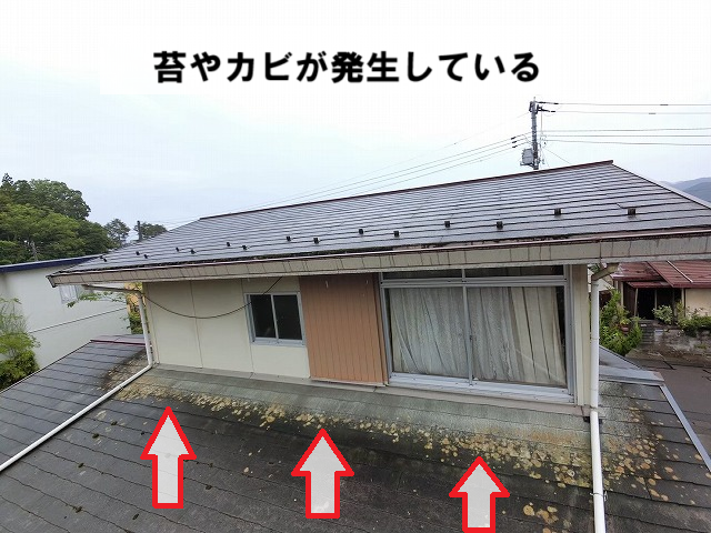 仙台市太白区 スレートに苔やカビが発生している