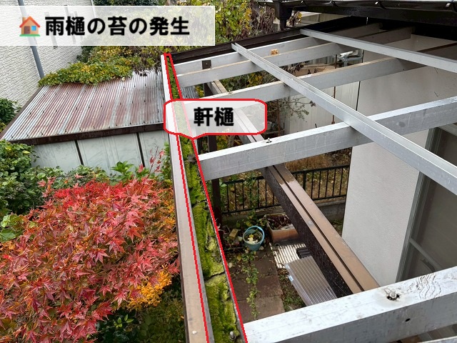 仙台市太白区 ポリカ波板交換工事 現地調査