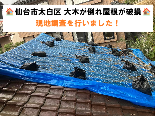 仙台市太白区 大木が倒れ屋根が破損