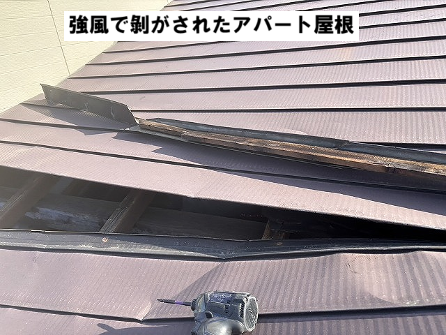 仙台市太白区 強風で剝がれたアパート屋根