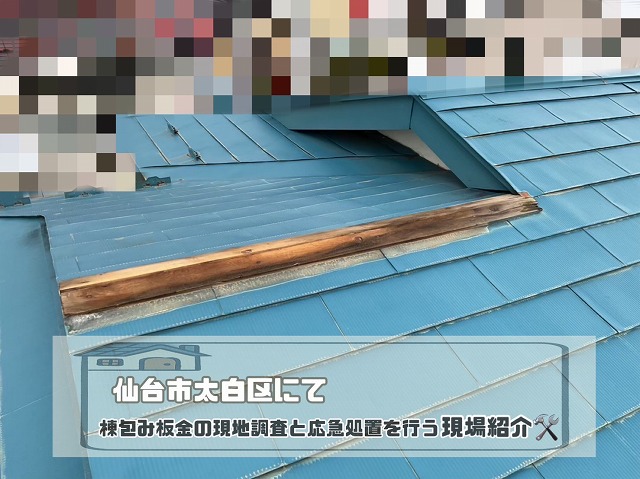 現地調査と養生