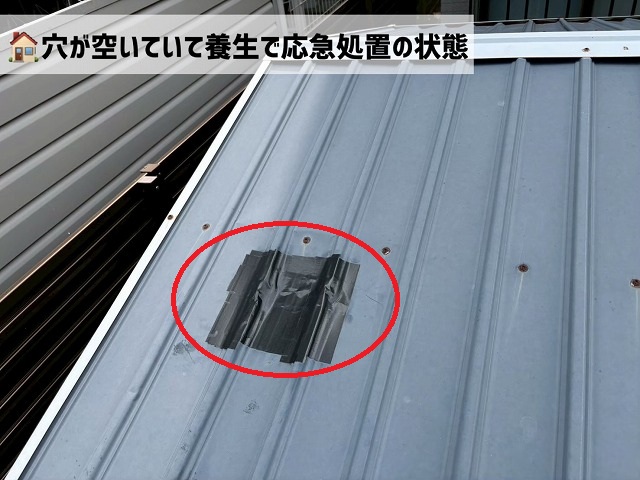 仙台市太白区-物置屋根の屋根板金交換工事