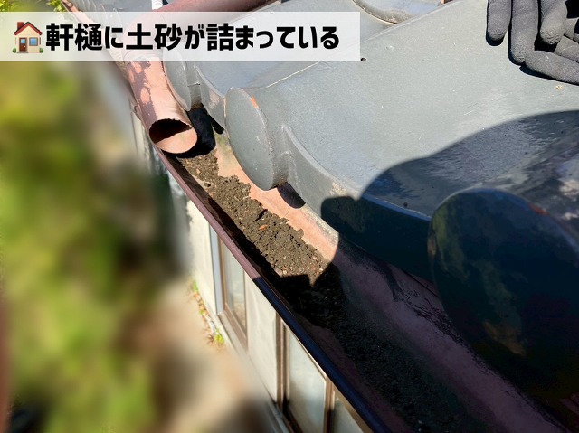 仙台市太白区-瓦屋根-雨樋清掃