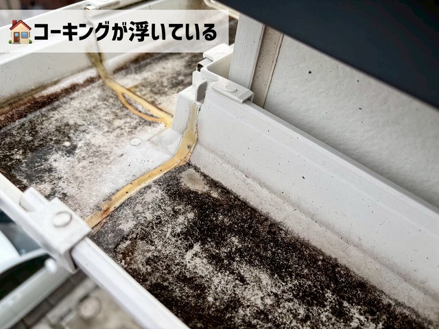 仙台市太白区-雨樋の現地調査