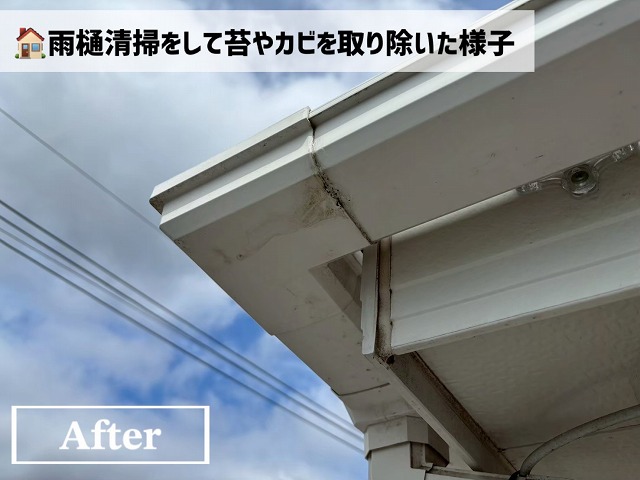 仙台市太白区-雨樋の現地調査