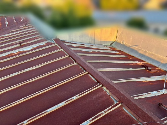  仙台市太白区-雨漏り調査