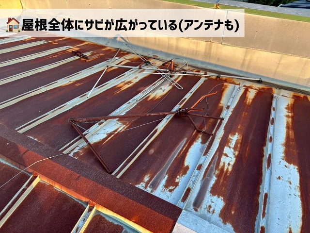  仙台市太白区-雨漏り調査