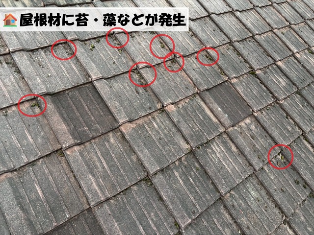仙台市泉区 屋根現地調査