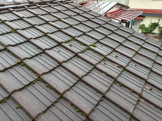 仙台市泉区 貸家 瓦全体に苔