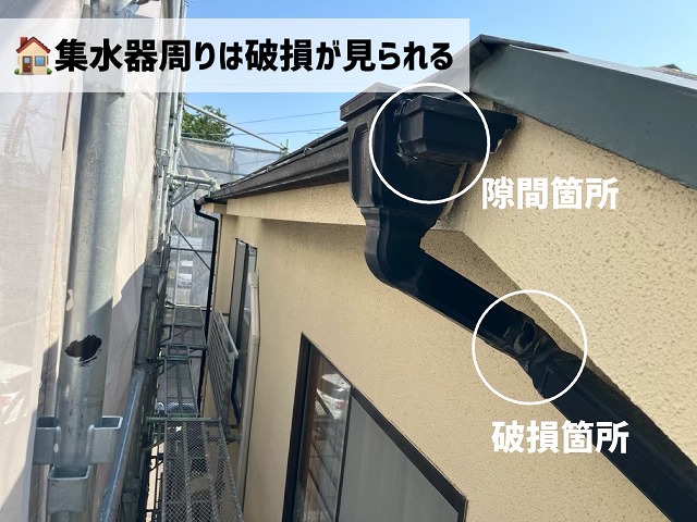 仙台市若林区-雨樋現地調査