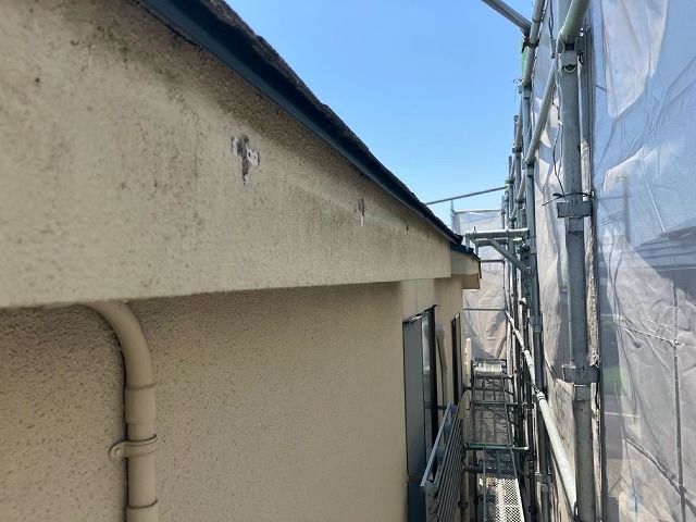 仙台市若林区-雨樋現地調査